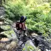 遠藤たまこ
