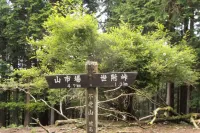 【日帰り登山】サンショウバラの咲く西丹沢の静かな秘境！不老山の難易度別ルート紹介