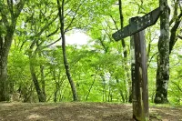 【日帰り縦走登山】富士スピードウェイからエンジン音が聞こえてくる山頂！神奈川県・静岡県県境にある湯船山の難易度別ルート紹介
