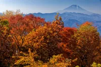 11月におすすめの紅葉登山23選！絶景おすすめコース紹介【紅葉ラストスパートを見逃すな】