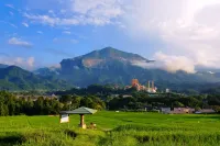 武甲山日帰り登山｜難易度別コース3選【初心者もベテランも大満足】