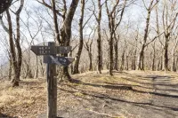 【日帰り登山】初心者にもおすすめ！神奈川・静岡・山梨の3県にまたがる三国山の難易度別ルート紹介