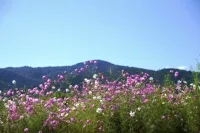 【登山初心者向き】愛宕山から情緒あふれる古都の眺めを満喫する難易度別ルートを紹介！
