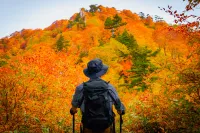 【11月が見ごろ！】関東の紅葉が美しい絶景登山コース15選