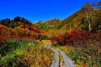 東海・北陸エリアのおすすめ紅葉登山12選！絶景紅葉スポットと登山コースを徹底解説