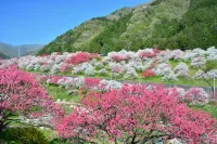 【網掛山】難易度別コースで楽しむ昼神温泉の山歩（さんぽ）＆登山♨阿智セブンサミット