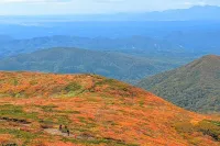 【日帰り登山】栗駒山これが日本一の紅葉｜難易度別ルートと各種情報をご紹介