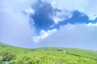 日本百名山の白山登山：南竜ヶ馬場でテント泊＆高山植物を楽しむ