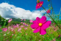 【蛇峠山】難易度はお山歩の簡単アクセス♨ 阿智セブンサミット