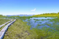 【日帰り登山】田代山の山頂は秘密の花園｜初心者におすすめの難易度別ルート＆登山口アクセス