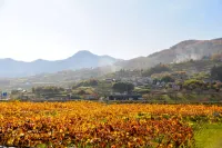 【登山初心者必見！】姨捨の棚田と善光寺平を眺める冠着山の難易度別登山コース紹介