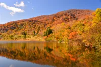 【初心者必見】歴史ある奥社とブナの森を満喫する小菅山の難易度別登山コース紹介