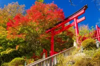 高尾山へ紅葉を見に行こう！2023年の見頃予想やスポット、注意点を解説