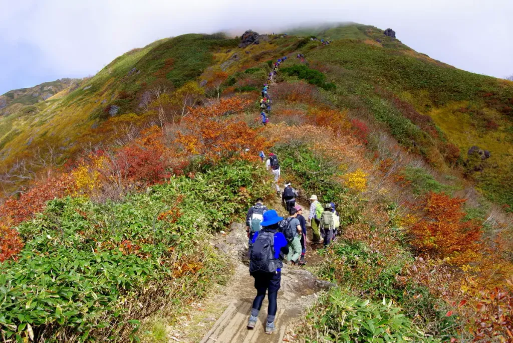 肌寒い季節にピッタリ！秋登山の服装にプラスワンしたいアイテム5選