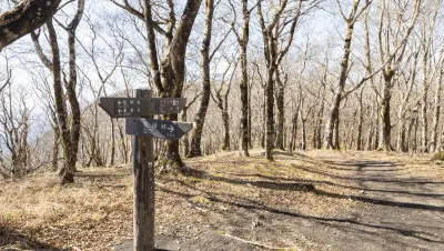 【日帰り登山】初心者にもおすすめ！神奈川・静岡・山梨の3県にまたがる三国山の難易度別ルート紹介