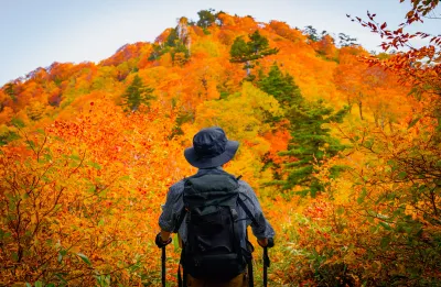 【11月が見ごろ！】関東の紅葉が美しい絶景登山コース15選