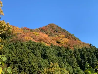 【日帰り登山】茨城のジャンダルムに立つ！生瀬富士｜難易度別ルートと登山口各種情報をご紹介